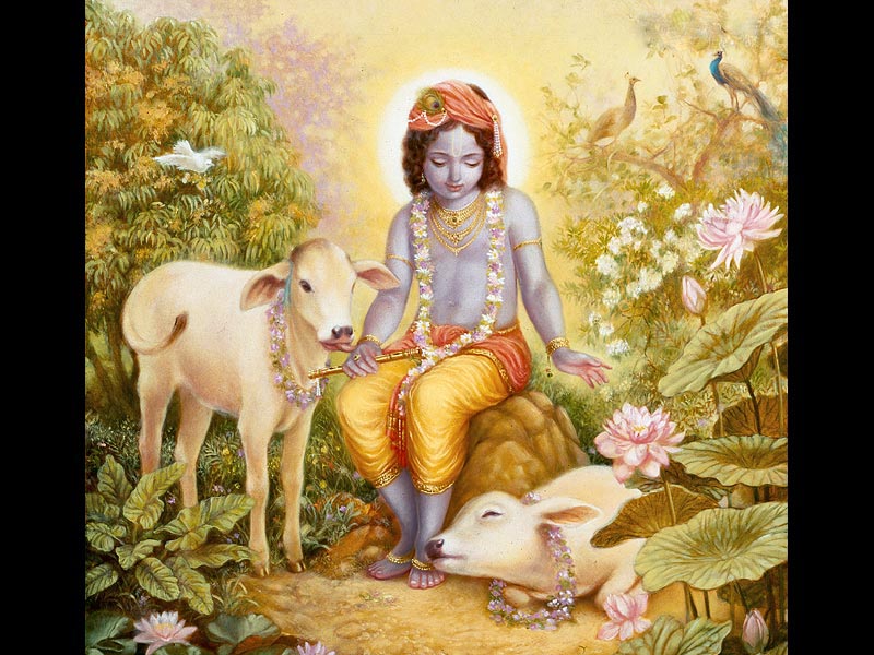 krsna2cow